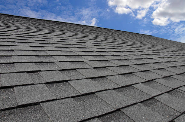 Best Roof Maintenance and Cleaning  in Montrose Ghent, OH